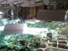 1220081121b.jpg
