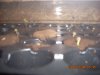 DSCN0934.JPG