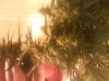 DSC00020.jpg