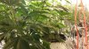 20140925_022035.jpg