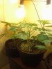 20140926_000332.jpg