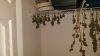 20140927_204820.jpg