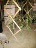 IMG-20140930-WA0003.jpg