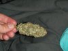 DSC01757.JPG