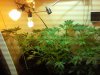 20141005_224317.jpg 20141005_224317.jpg