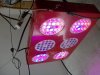 LED.jpg