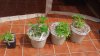 20140926_143143.jpg