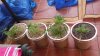 20140927_184944.jpg