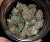 GDP jar.jpg GDP jar.jpg