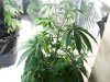 The Babies! 154.jpg