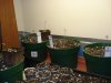 DSC01230.jpg