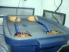 DSC02548.jpg