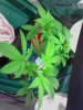 update5.jpg