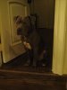 20120105_212136.jpg 20120105_212136.jpg