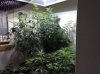 canopy1.jpg