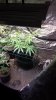 20141001_185637.jpg 20141001_185637.jpg