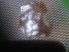 IMG-20140629-02511.jpg
