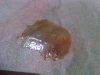 IMG-20140627-02446.jpg