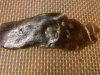 IMG-20140611-02248.jpg