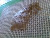 IMG-20140615-02306.jpg
