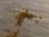 IMG-20140221-01831.jpg