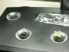 12.23.08 047.jpg
