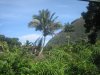 IMG_7425.jpg
