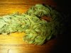IMG-20141028-00094.jpg