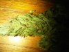 IMG-20141028-00095.jpg