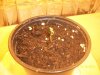 100_4052.JPG