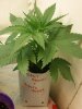 20141031_064703.jpg