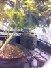 20141031_213603.jpg