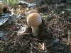 DSCF0021-14.JPG