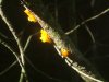 DSCF0045-5.JPG