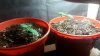 20141104_200326.jpg