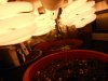 DSCN0998.JPG