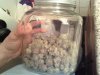 481759901-Grow_1_Harvest_03.jpg 481759901-Grow_1_Harvest_03.jpg