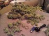 481777811-Grow_5_Harvest_01.jpg