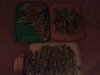 481777866-Grow_5_Harvest_02.jpg