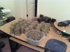 481811597-Grow_6_Harvest_03.jpg