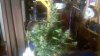 IMG_00000251.jpg IMG_00000251.jpg