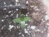 downsized_12250817545566.jpg