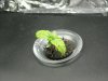 12.26.08 042.jpg