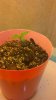 WP_20141120_12_57_11_Pro.jpg