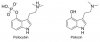 psilocybin psilocin structure.jpg