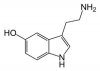 serotonin.jpg
