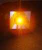 DSC07664a.jpg