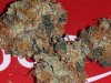 cookie mess nug and red box.jpg cookie mess nug and red box.jpg