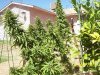 100_2529.jpg