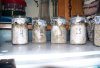 100_0133.jpg 100_0133.jpg